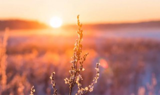 立冬出生的人命运如何 立冬的人出生的命运好吗