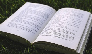 二年级描写春天的句子大全(春天的句子描写春天的句子二年级)