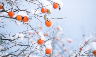 2021立冬是农历几月几日 2021立冬是几月几日?