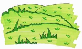 草怎么画（草怎么画简单又漂亮）