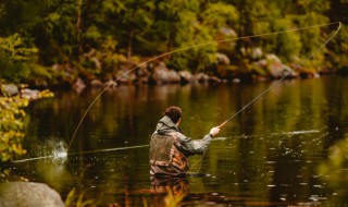 钓鲈鱼怎么钓（蚯蚓钓鲈鱼怎么钓）