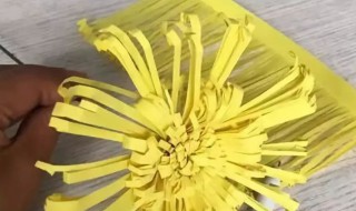 重阳节制作菊花（重阳节制作菊花美篇）