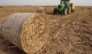 秸秆储存方法（秸秆的储存方法）