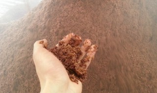 酒糟的储存方法 酒糟的保存方法