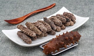 鲜海参的储存方法 鲜海参的储存方法与技巧