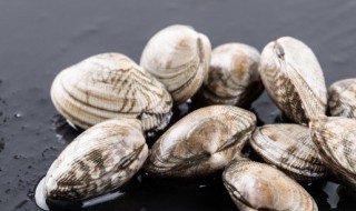 花甲储存方法 花甲储存方法有几种