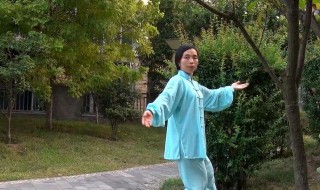 二十四式太极拳高探马动作脚下步型 太极二十四式高探马动作解析