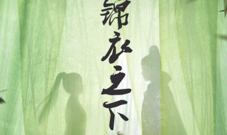 在哪里可以看完整锦衣之下小说的? 锦衣之下第一部小说