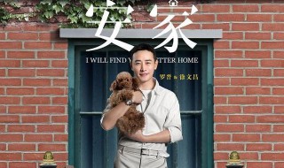 安家里房似锦和徐文昌有感情戏吗 安家里房似锦和徐文昌怎么认识的