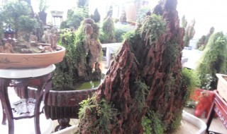 怎么用红砖做吸水石 用泡沫砖自制吸水石