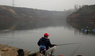 台钓如何钓浮（台钓怎样钓浮）
