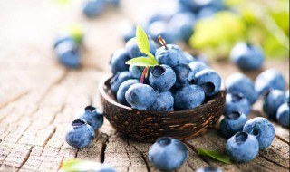 蓝莓的功效与作用有哪些 蓝莓的功效与作用有哪些?