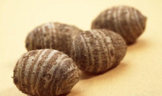 芋头的功效与作用是什么（芋头的功效是啥）