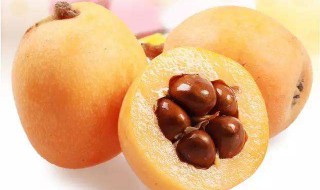 枇杷的功效与作用有哪些（枇杷的作用和功效）