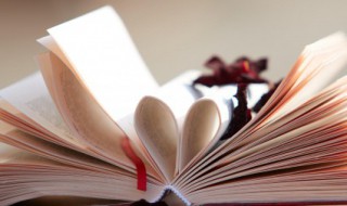 简短正能量语录（舞蹈简短正能量语录）