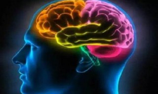 依照赫曼全脑模型划分沙和尚属于哪一型 沙和尚属于逻辑型