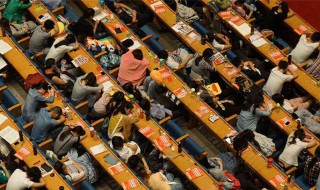 考研调剂本校是导师决定的吗(研究生调剂导师说了算)