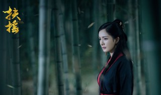 扶摇第几集和无极在一起(扶摇中无极和扶摇第几集圆房)