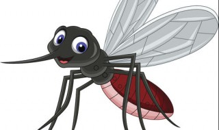 蚊子的寿命 蚊子的寿命那么短怎么熬过冬天