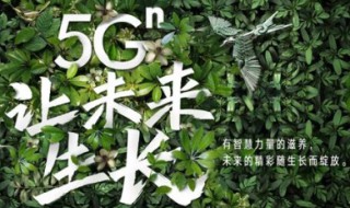 联通小歪卡流量怎么算 中国联通小歪卡免流范围包括哪些