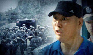 清网行动假装植物人哪一集（清网行动丈夫装植物人哪一集）