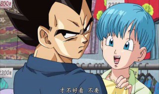 贝吉塔和布尔玛什么时候在一起的 贝吉塔和布玛是什么时候在一起