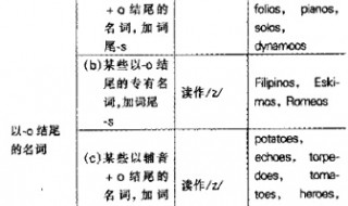 辅音字母加o结尾的名词变复数（以辅音o结尾的名词复数）