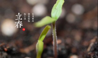立春的含义是什么意思(立春的含义是什么意思一年之计在于春)