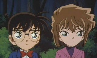 名侦探柯南连环杀人案有哪些（名侦探柯南有多少个案件）