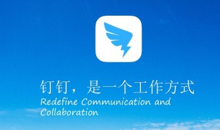 电脑钉钉在哪打字 电脑钉钉怎么写字