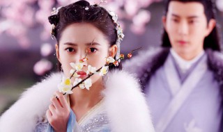 两世欢演员表（两世欢演员表及人物介绍）