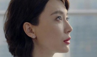 斯黛拉是什么电视剧（崔英俊斯黛拉是什么电视剧）