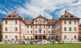 东华大学mpacc报考条件 东华大学mpacc好考吗