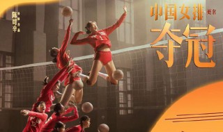 夺冠什么时候电视能看 夺冠什么时候电视能看啊