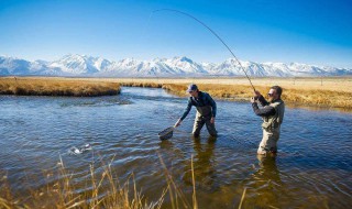 野钓老三样要加拉丝吗（野钓老三样怎么开拉饵）