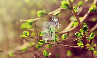 立春朋友圈心情说说（立春朋友圈心情说说搞笑）