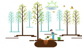 做梦植树怎么回事 做梦植树怎么回事啊