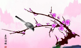 如何提升美术艺术修养（如何提高艺术修养）