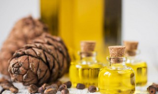 松油弄在衣服上如何清洗(松油弄在衣服上如何清洗下来)