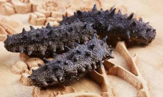 如何清洗干海参最好方法 干海参怎样清洗