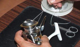 海杆的轮怎么上线啊（海轮线怎么连到海杆）