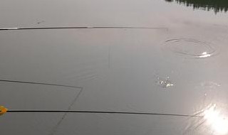 初春夜钓位置选择（初春夜钓技巧）