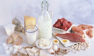 高蛋白的食物都有哪些(低脂低热量高蛋白的食物都有哪些)