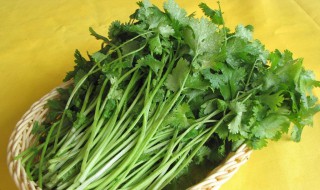 香菜为什么风行世界 世界上就是有人讨厌香菜