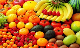 水果和蔬菜的区别 水果和蔬菜的区别教案