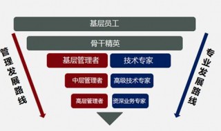 员工岗位晋升前怎么谈话 员工岗位晋升前怎么谈话领导