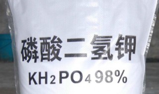 磷酸二氢钾的使用禁忌 磷酸二氢钾的使用禁忌多肉