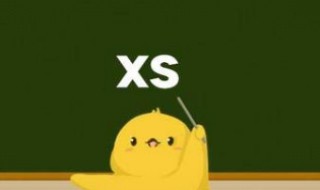 XS是什么意思 XXS是什么意思的缩写