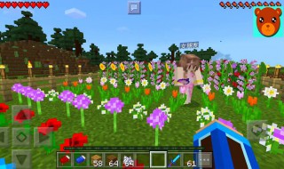 我的世界有哪些矿石(我的世界有哪些矿石?)