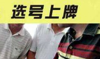 汽车上牌可以手机选号吗（车辆上牌手机选号）